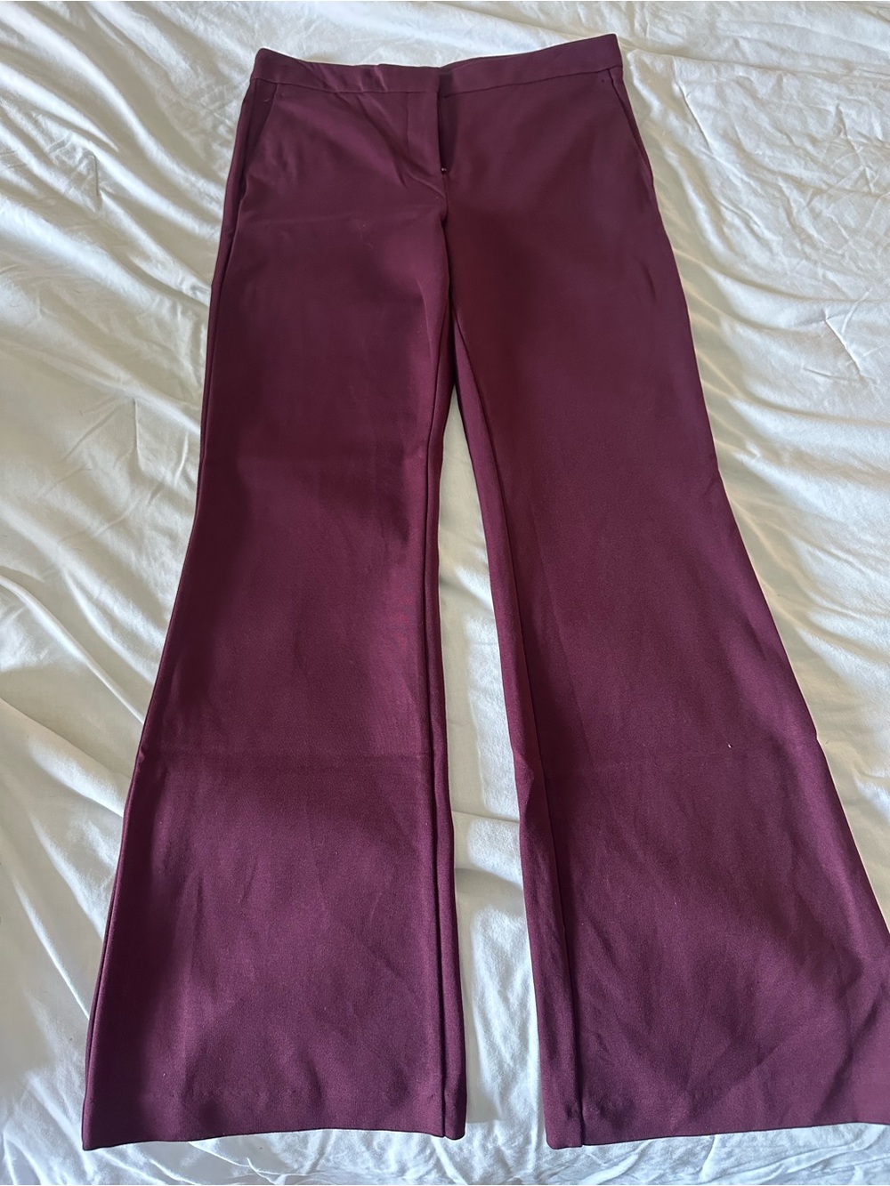 Ann Taylor skinny flare pant in ponte